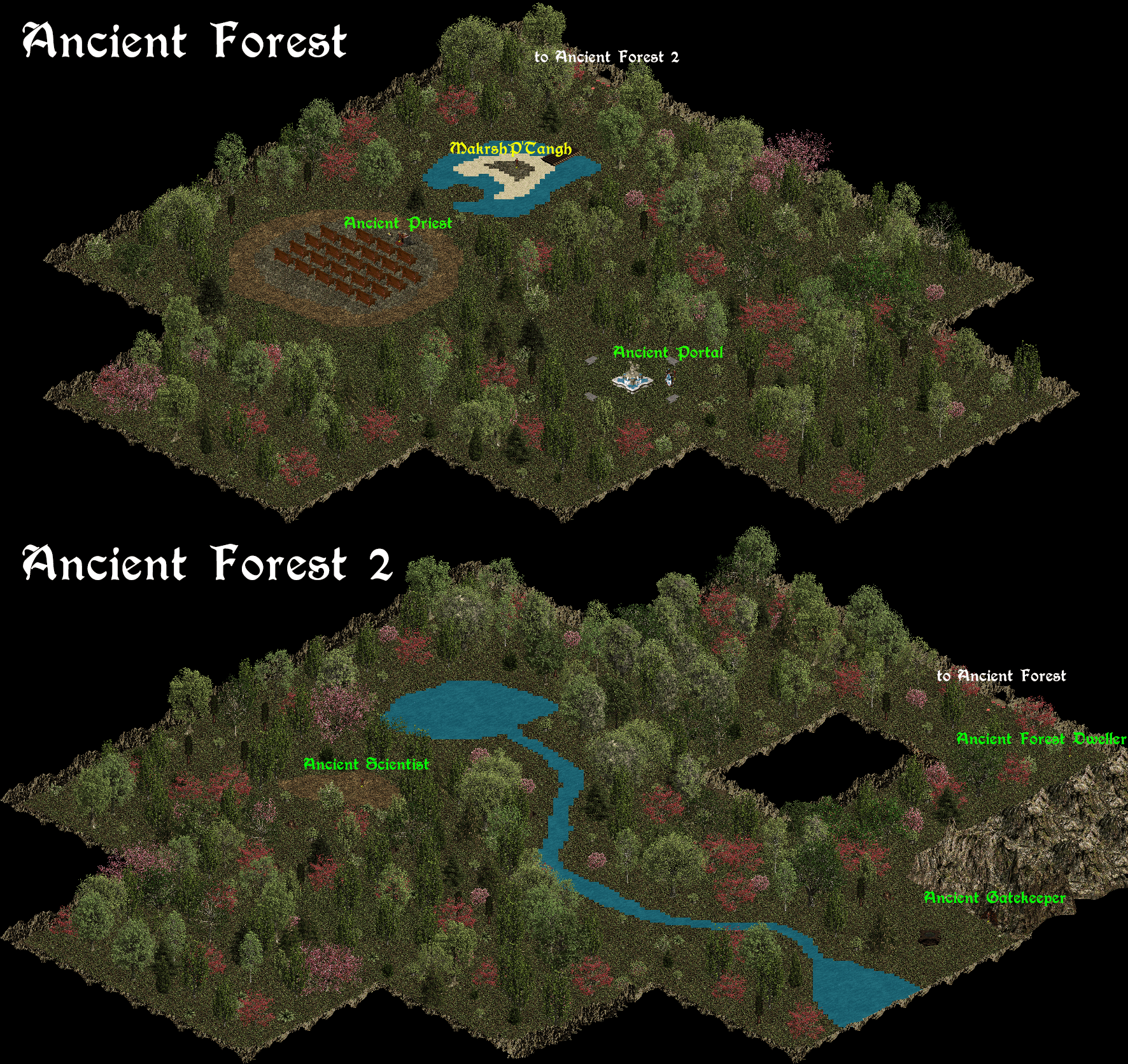Ancient Forest