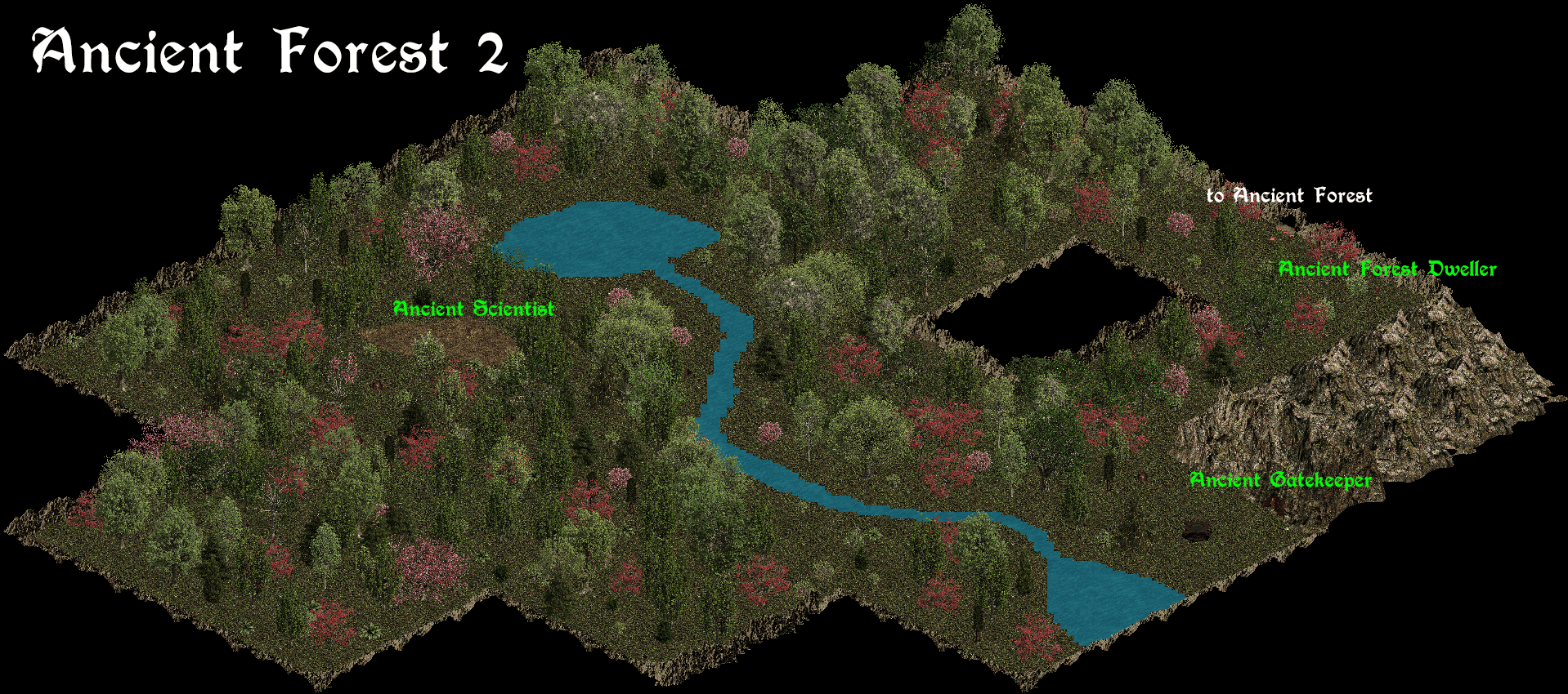 Ancient Forest 2